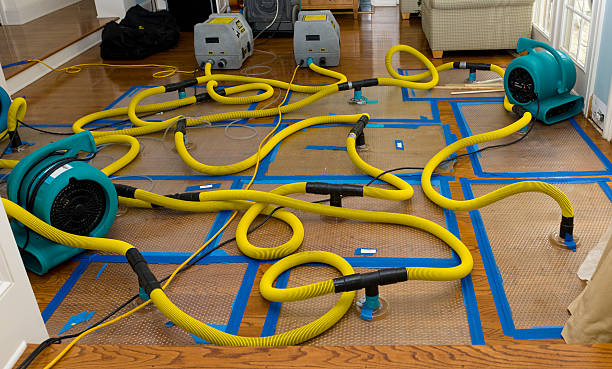Professional Basement Flood Cleanup technician working in Renfrew, PA